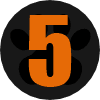 5Passo